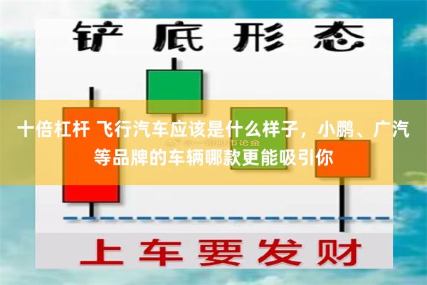 十倍杠杆 飞行汽车应该是什么样子，小鹏、广汽等品牌的车辆哪款更能吸引你