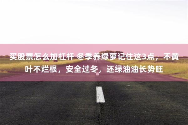 买股票怎么加杠杆 冬季养绿萝记住这3点，不黄叶不烂根，安全过冬，还绿油油长势旺