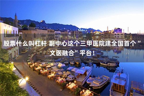 股票什么叫杠杆 副中心这个三甲医院建全国首个“文医融合”平台！