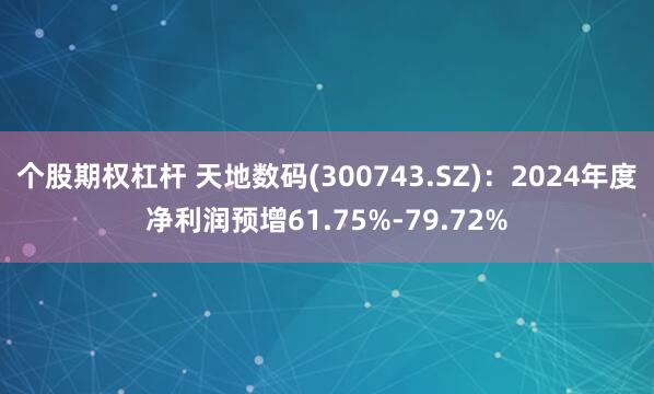 个股期权杠杆 天地数码(300743.SZ)：2024年度净利润预增61.75%-79.72%