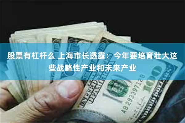 股票有杠杆么 上海市长透露：今年要培育壮大这些战略性产业和未来产业