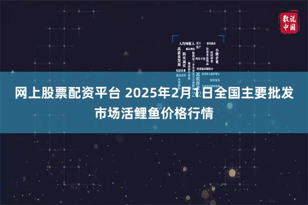 网上股票配资平台 2025年2月1日全国主要批发市场活鲤鱼价格行情