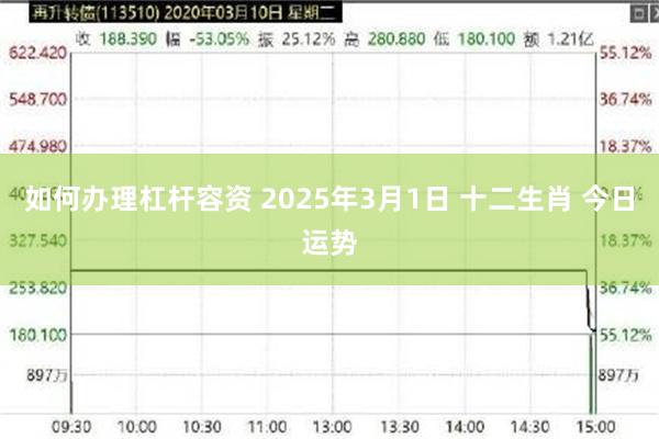 如何办理杠杆容资 2025年3月1日 十二生肖 今日运势