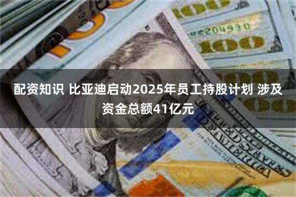 配资知识 比亚迪启动2025年员工持股计划 涉及资金总额41亿元